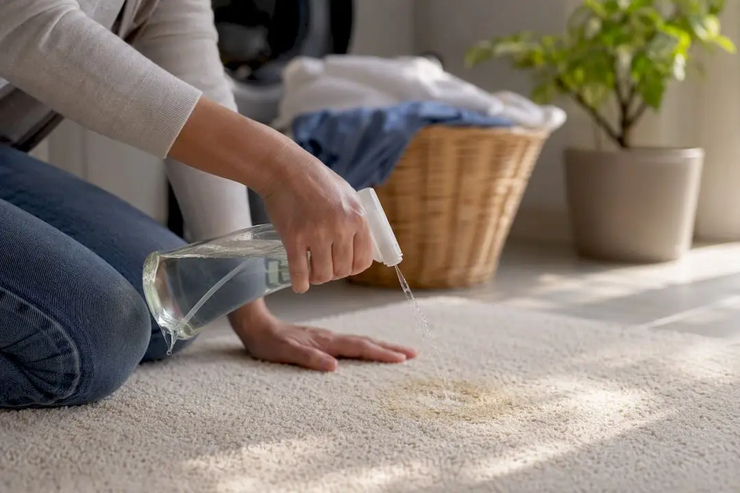 Hands applying enzyme cleaner to pet urine stain
