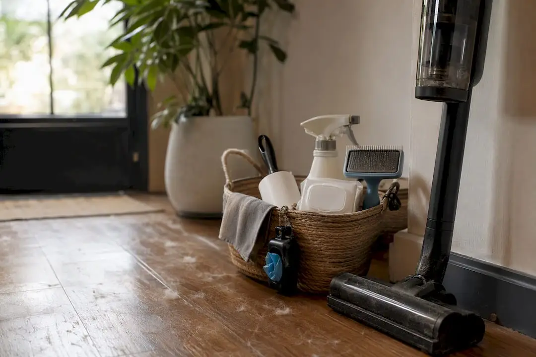 Pet cleaning supplies staged by a door