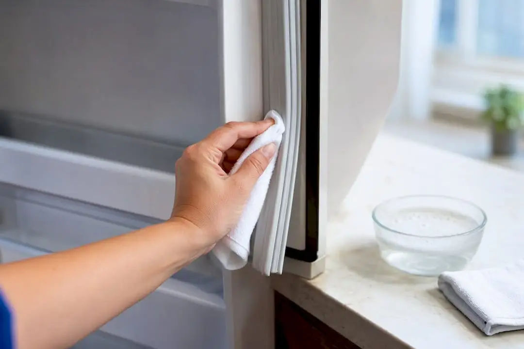 Hand cleaning a refrigerator door gasket